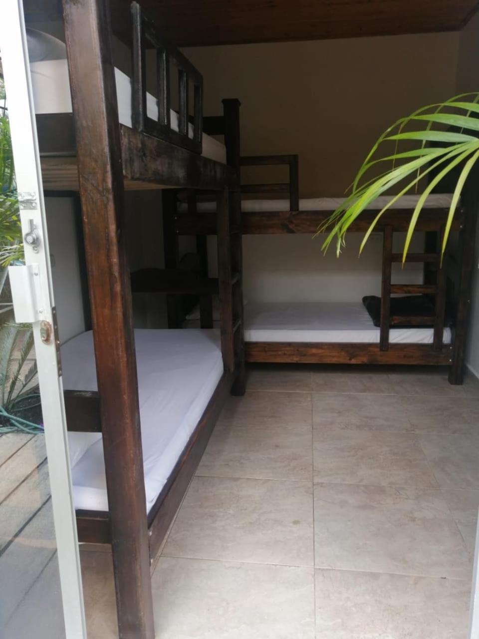 Hostal Hilltop Salento Eksteriør bilde